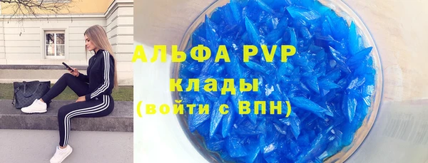 PSILOCYBIN Балабаново