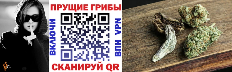 Псилоцибиновые грибы Cubensis  Мышкин 